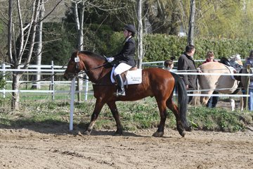 Bild 188 - WBO-Turnier am 9.4.11